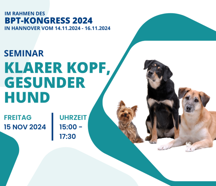 Seminar-Ankündigung <br/>Klarer Kopf, gesunder Hund