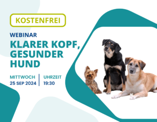 Webinar<br/>Klarer Kopf, gesunder Hund